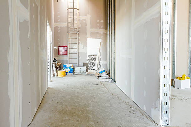 Best Basement Mold Removal  in Big Bass Lake, PA